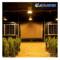 High quality growing blackout greenhouse for sale